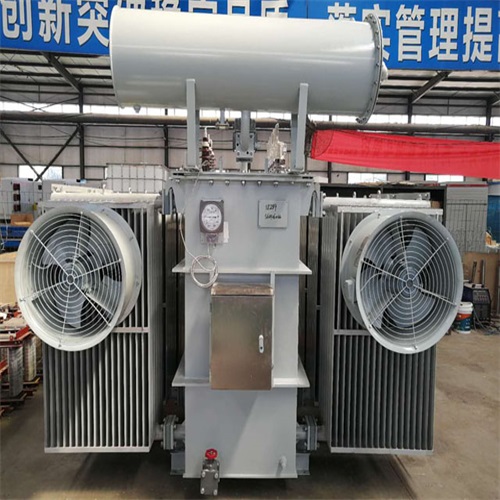 盐亭S20-8000KVA变压器